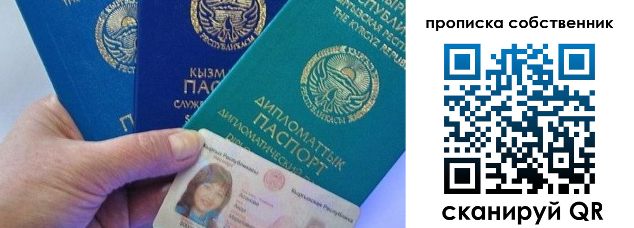 найти адрес прописки в Курске